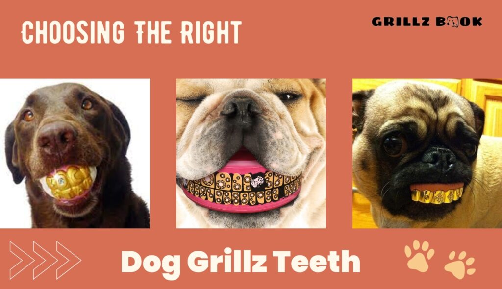 Exploring Dog Grillz Teeth: A Guide to Canine Dental Accessories ...