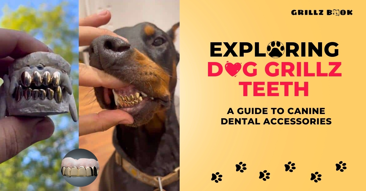 Exploring Dog Grillz Teeth: A Guide to Canine Dental Accessories ...